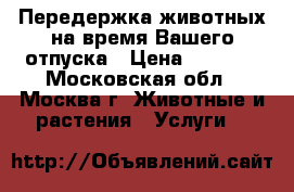 Передержка животных на время Вашего отпуска › Цена ­ 2 500 - Московская обл., Москва г. Животные и растения » Услуги   